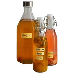 Kombucha Trio - A Fermented Delight