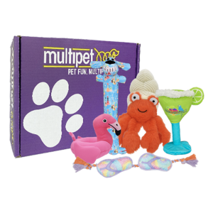 Multipet Summer Fun Dog Toy Box