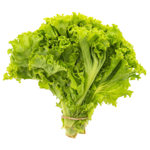 Fresh Green Leaf Lettuce 200g